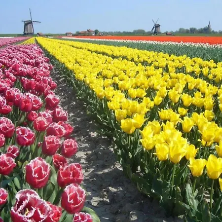Hotel Alkmaar Hotel 4*