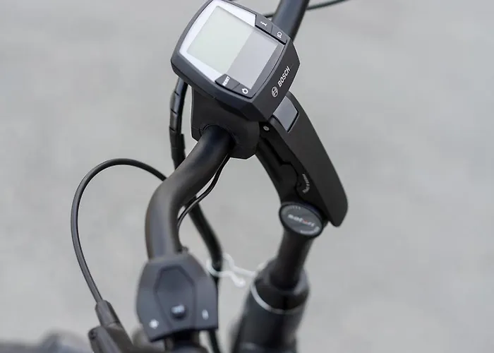 - Bar & Restaurant - Meeting & Events 4*