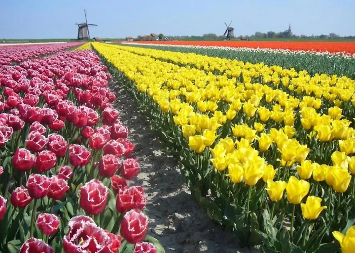 - Bar & Restaurant - Meeting & Events Ξενοδοχείο Αλκμάαρ