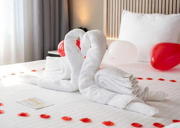 - Bar & Restaurant - Meeting & Events 알크마르