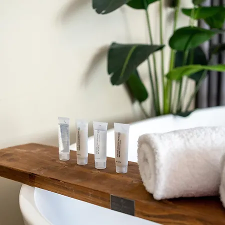 酒店 阿尔克马尔金色郁金香酒店 4*