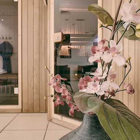 阿尔克马尔金色郁金香酒店