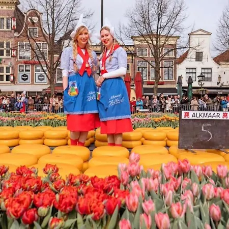 酒店 阿尔克马尔金色郁金香酒店 4*