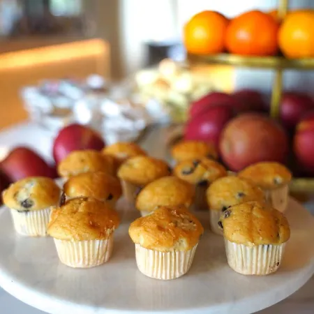 阿尔克马尔金色郁金香酒店 酒店